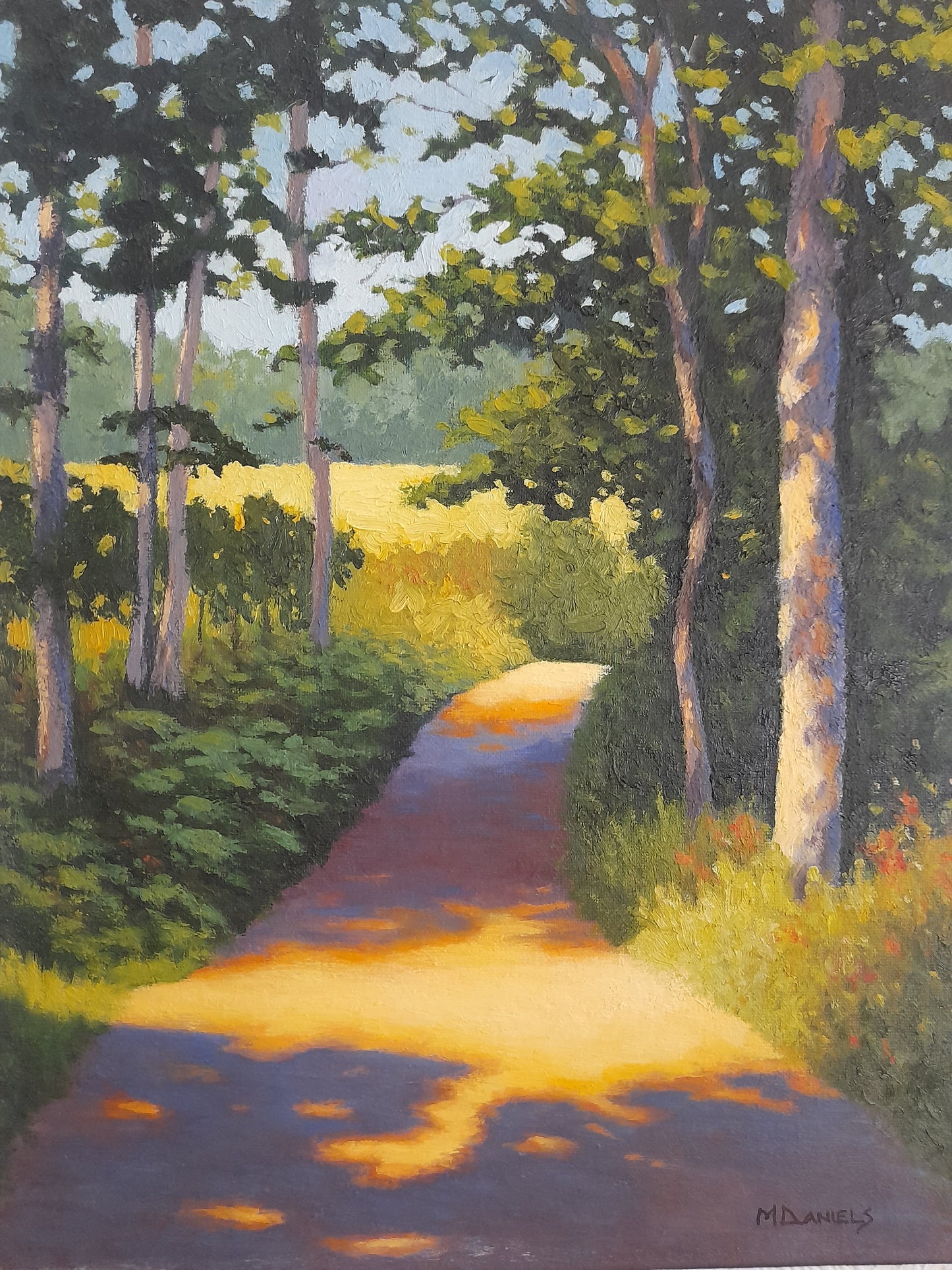 Ards Forest Path, 2020 ,by Michelle Daniels